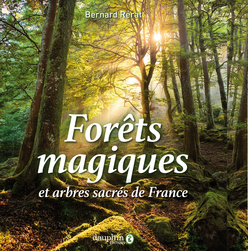 Forêts magiques et arbres sacrés de France